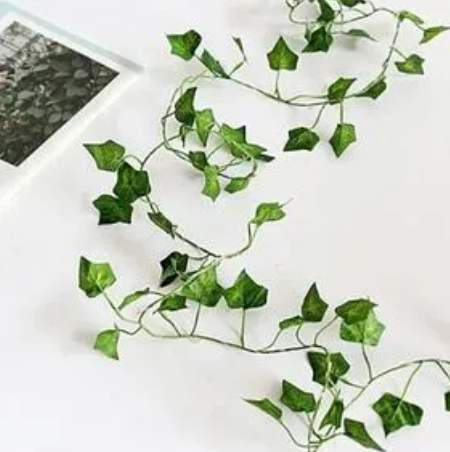 Sarmaşık Küçük Yaprak 12'li 2 metre 6,50*9 cm