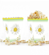 Mısır Kutusu Papatya Temalı / 8 Parça