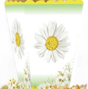 Mısır Kutusu Papatya Temalı / 8 Parça