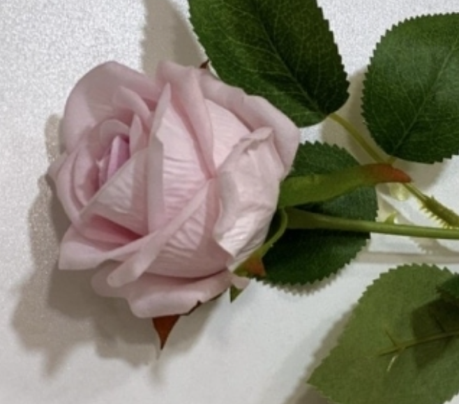 Kadife Gül Pembe Büyük 1 Adet
