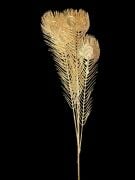 Yılbaşı Dekarasyon Tavuskuşu Gold 2349