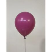 12'' Pastel Balon Yaban Çileği  50'li