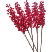 Büyük Kokina 7 Dallı Kırmızı