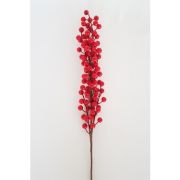 Büyük Kokina 7 Dallı Kırmızı