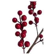 Büyük Kokina 7 Dallı Kırmızı