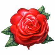 Kırmızı Gül Folyo Balon 75-67 Cm 0739