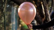 Kalisan 12'' Metalik Balon Rose Gold 50'li