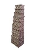 Pembe Fiyonk Dikdörtgen 10'lu Kutu DKKT-015