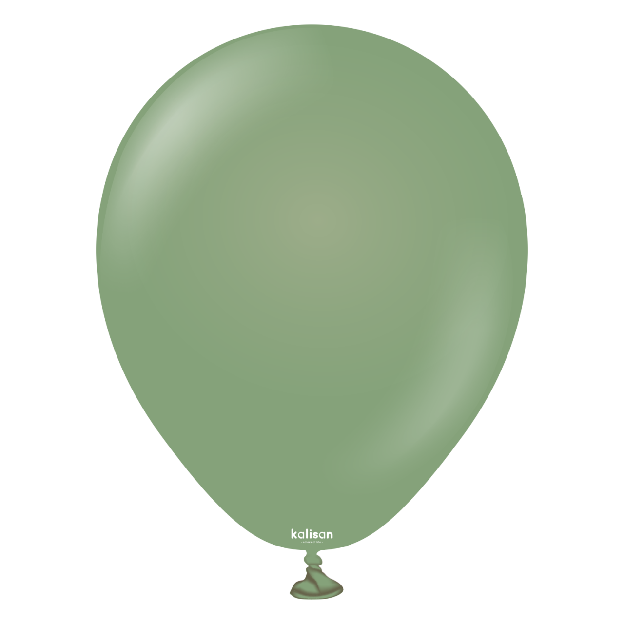 18 ''Retro Balon Okaliptus 1 adet