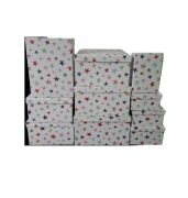 Beyaz Renkli Yıldız Desenli Dikdörtgen 10'lu Kutu DKKT-018