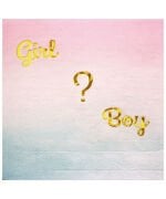 Kağıt Peçete Varaklı Cinsiyet Boy Girl Model 20 Parça