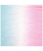 Kağıt Peçete Pembe Mavi Geçişli 20 Parça