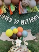 Happy 1/2 Birthday Ahşap Banner