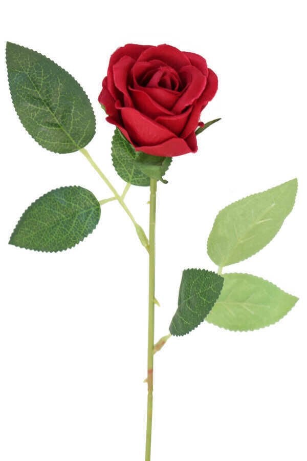 Kadife gül Kırmızı Büyük 1 ADET