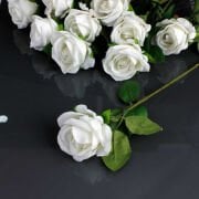 Kadife Gül Beyaz Büyük 1 ADET