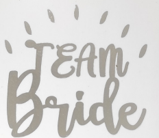 TEAM BRİDE GÜMÜŞ DAMLA DÖVME 10 ADET DVM2
