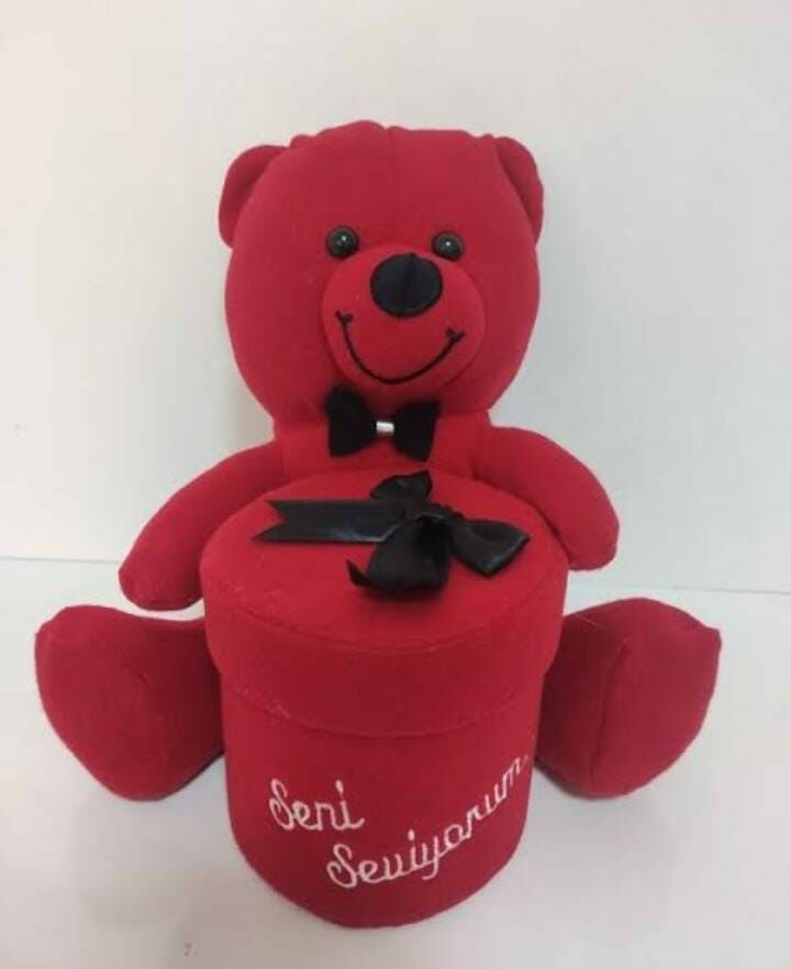 30 cm Siyah Detaylı Kutulu Kırmızı Peluş Ayı