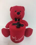 30 cm Siyah Detaylı Kutulu Kırmızı Peluş Ayı