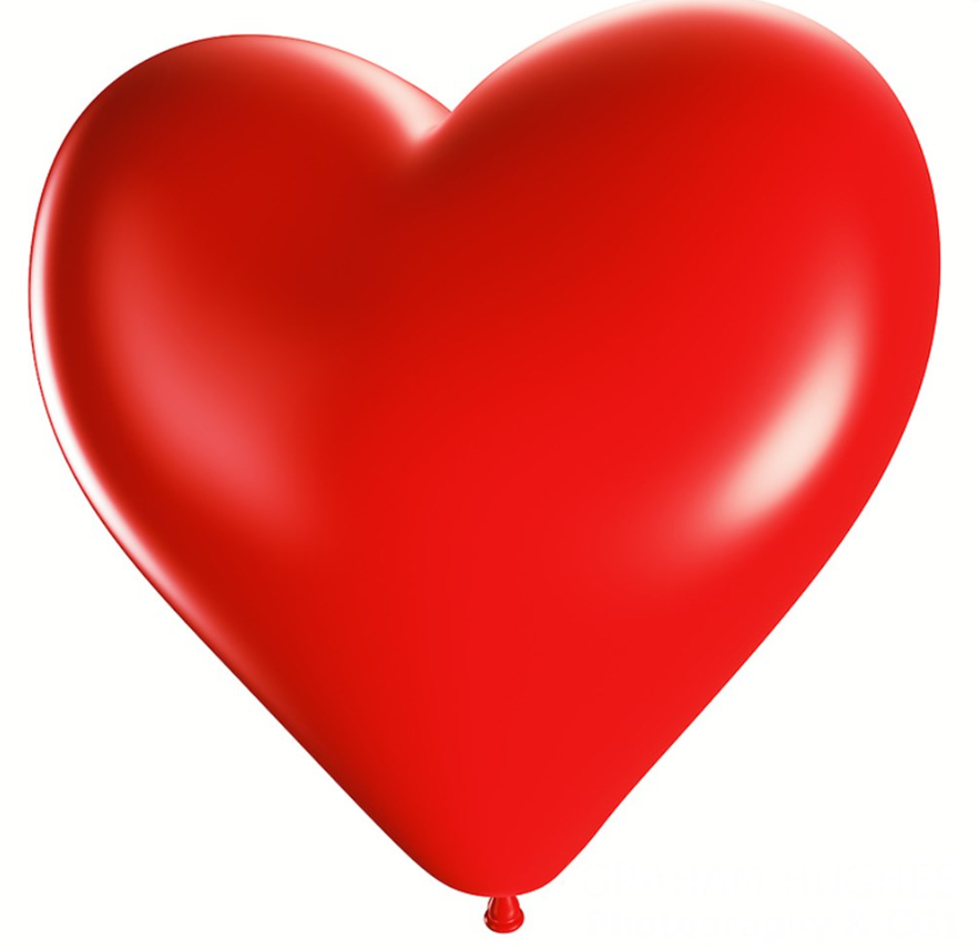 Lateks Kalp  12 '' GEMAR 50'lü Paket