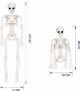 HALLOWEEN İSKELET 40 CM