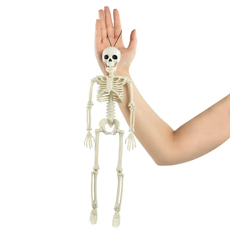 HALLOWEEN İSKELET 40 CM