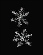 Yılbaşı Plastik Kar Tanesi Simli 27 Cm 2'li 3823