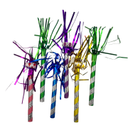 Kaynana Dili Çizgili Renkli Püsküllü 6 Adet 15 cm