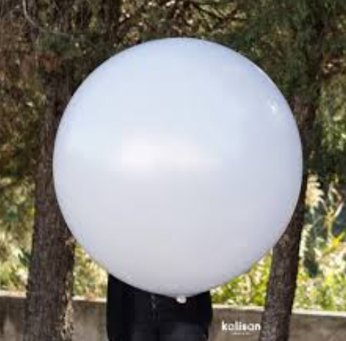 Kalisan 36'' Snow White 1 Adet