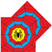 Örümcek Peçete 16'lı