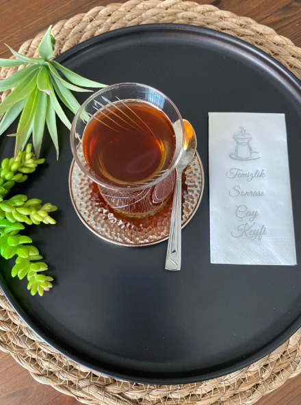 Temizlik Sonrası Kahve Keyfi Gümüş 16'lı Peçete