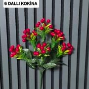 KIRMIZI KOKİNA 6 DAL 25185